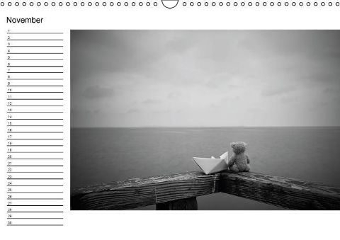 additionalImage11