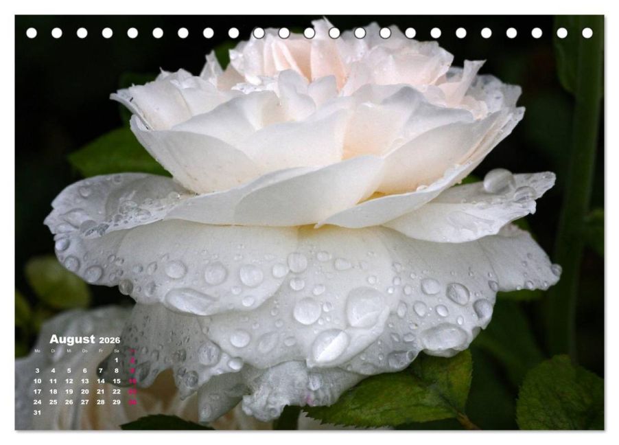 additionalImage13
