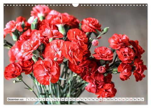 additionalImage4
