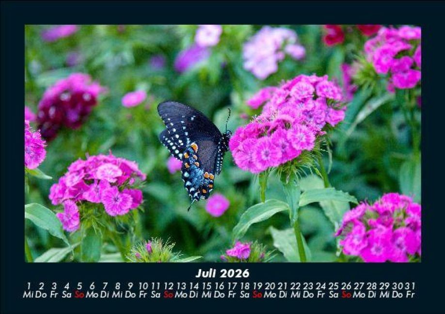 additionalImage11