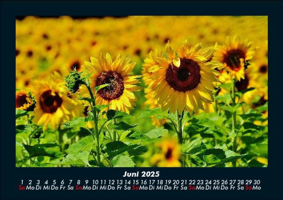 additionalImage10