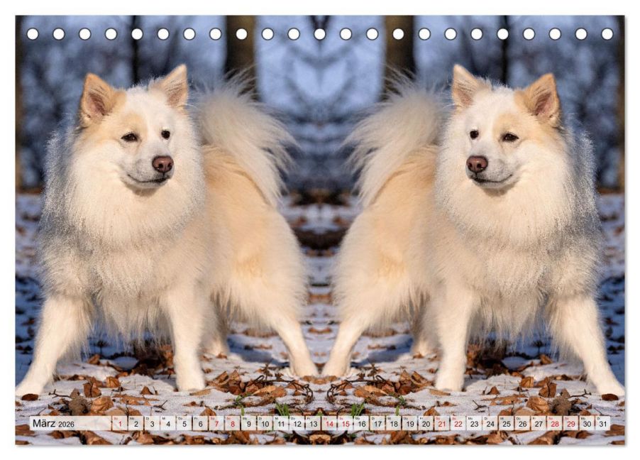 additionalImage8