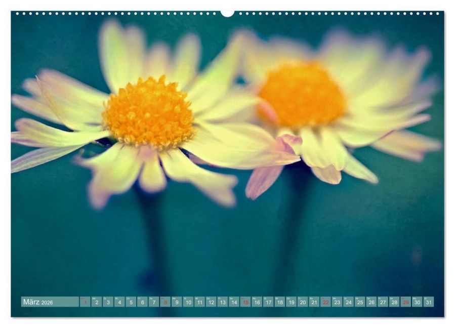 additionalImage7
