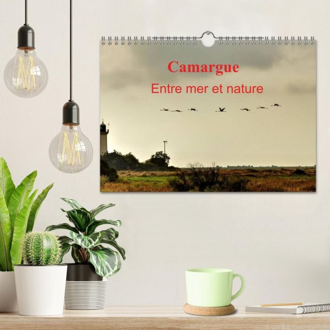 additionalImage1