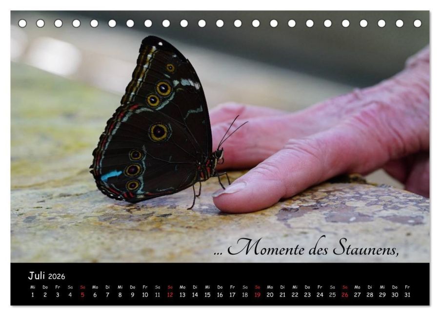 additionalImage12
