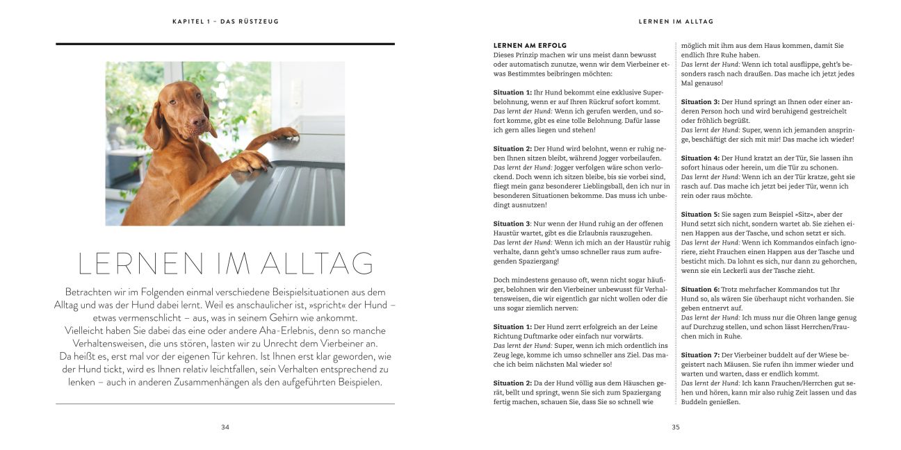 additionalImage4