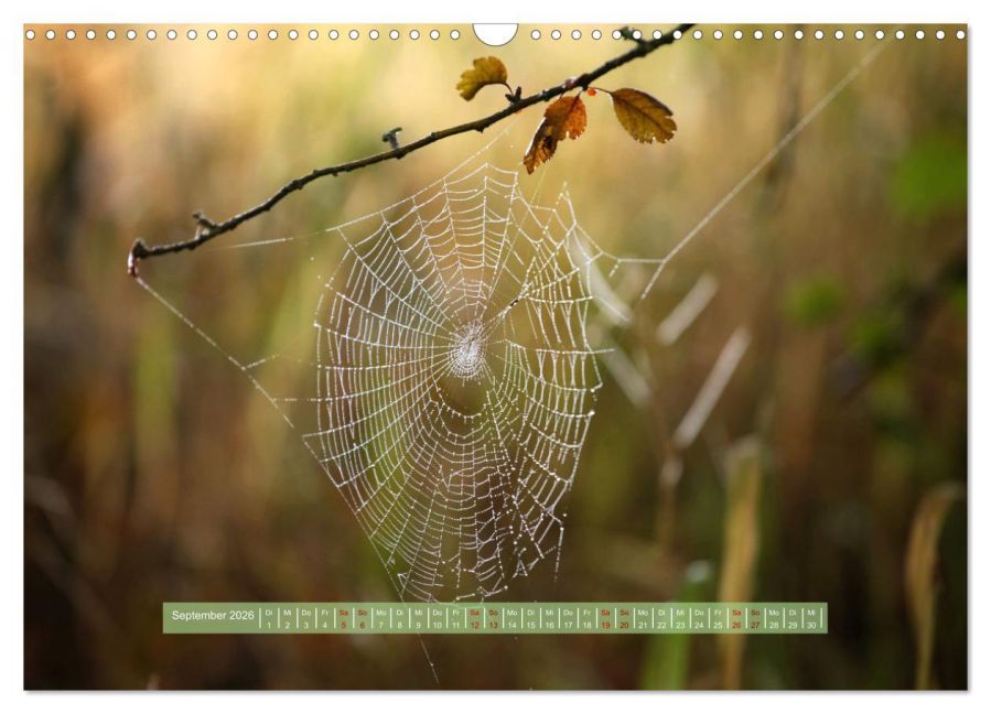 additionalImage14