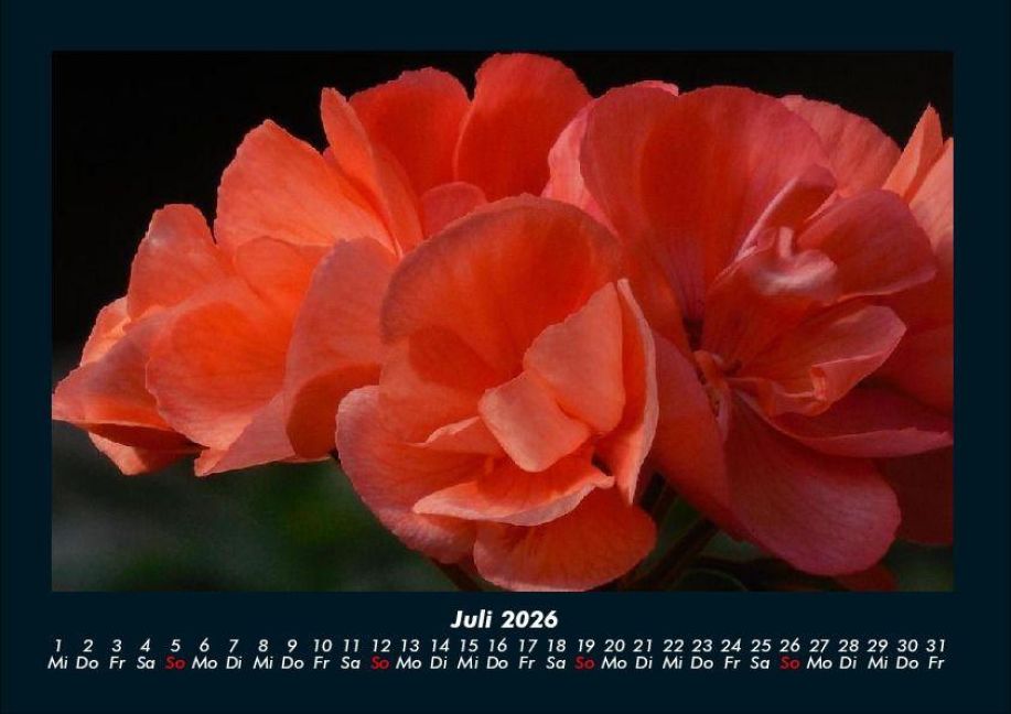 additionalImage11