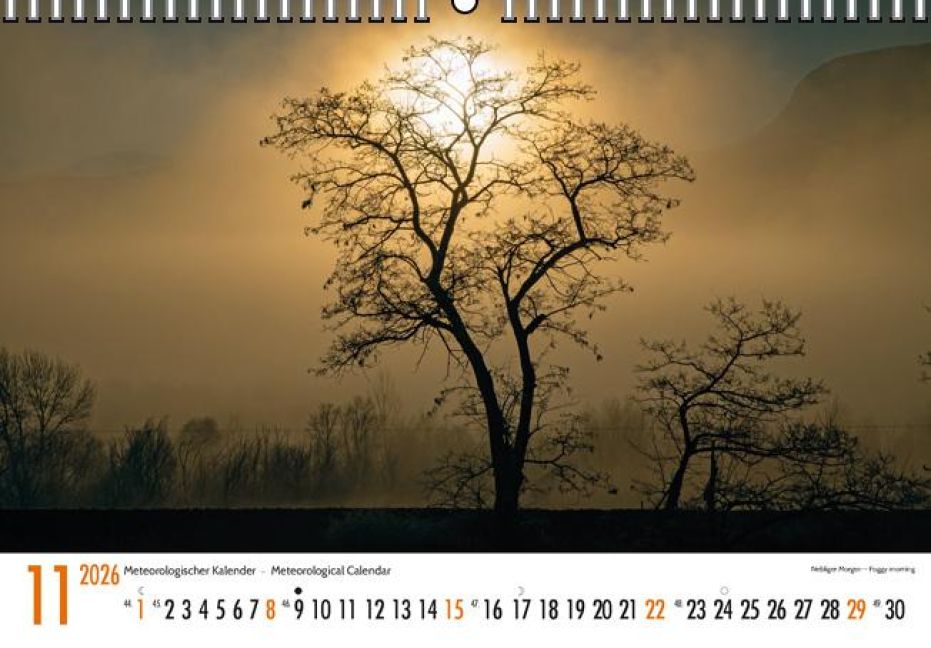 additionalImage11