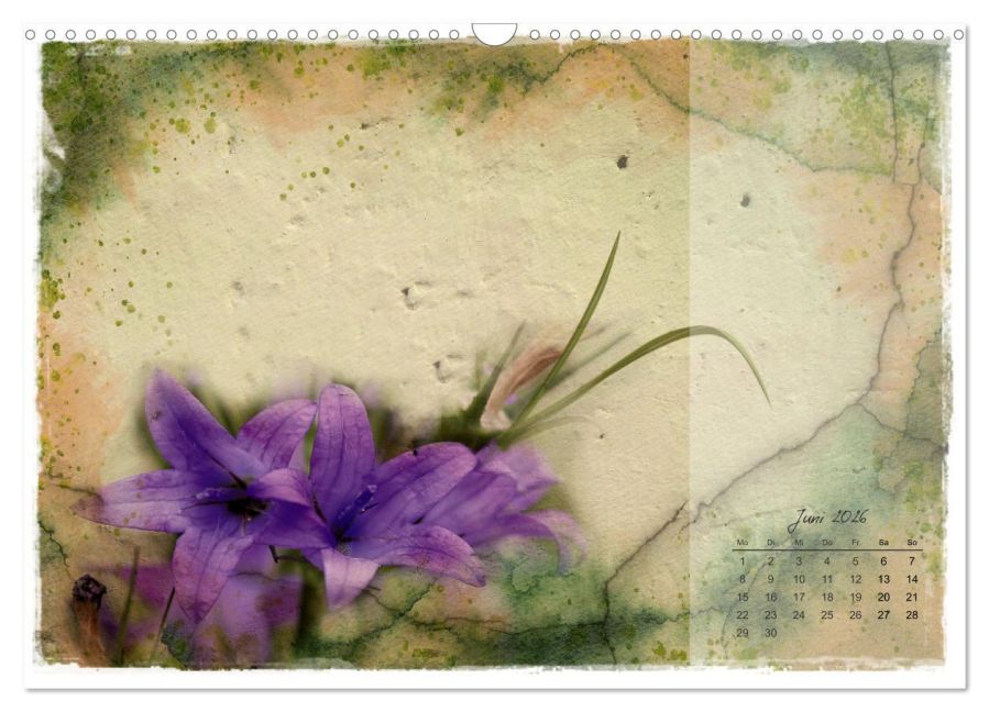 additionalImage11