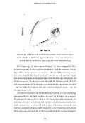 Bildprobe 5