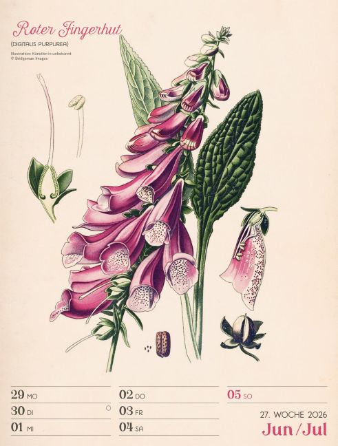 additionalImage30