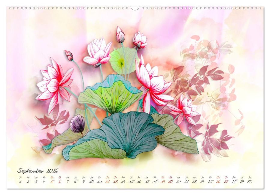 additionalImage13