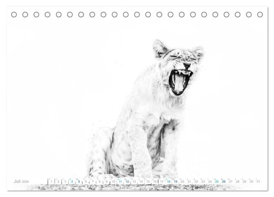 additionalImage12