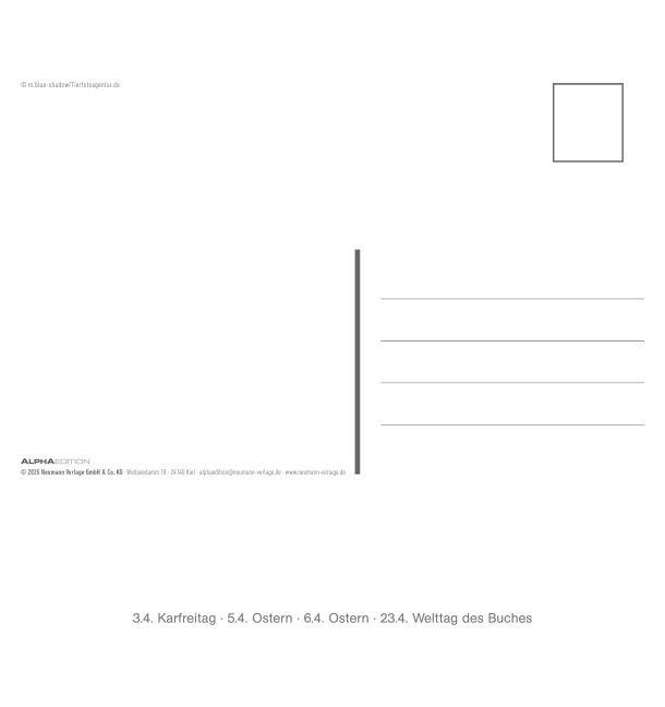 additionalImage8