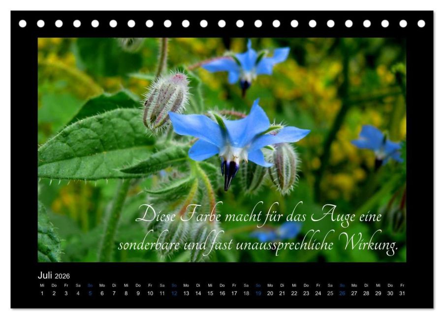 additionalImage12