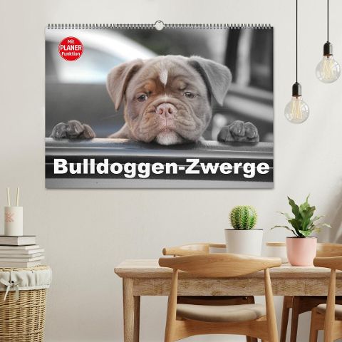 additionalImage1