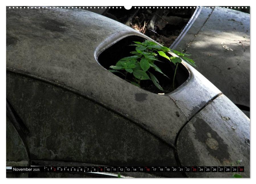 additionalImage2