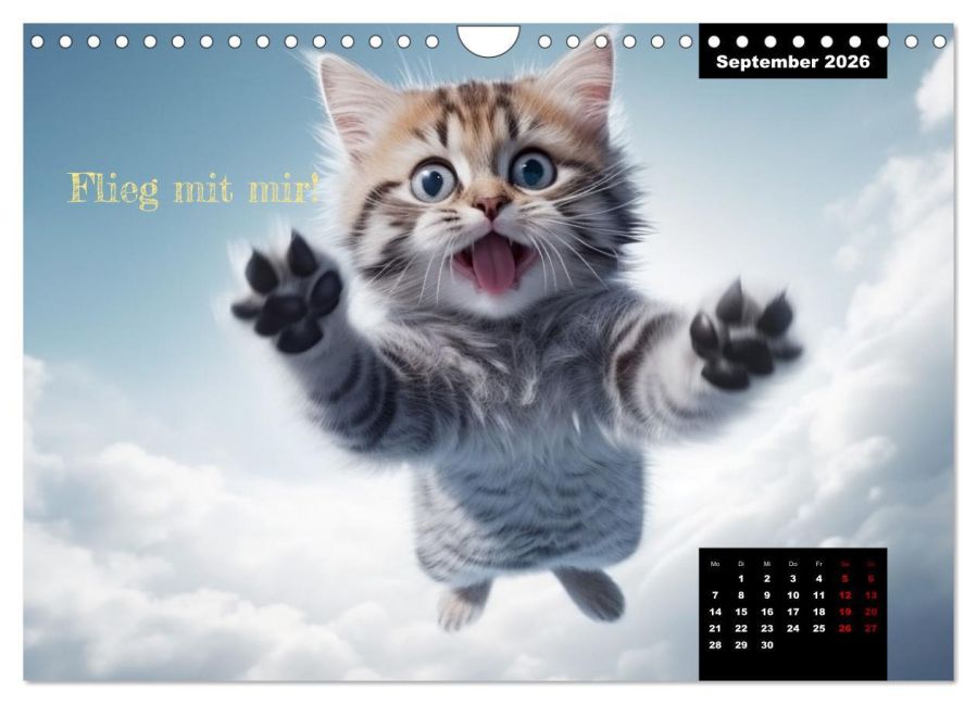 additionalImage14