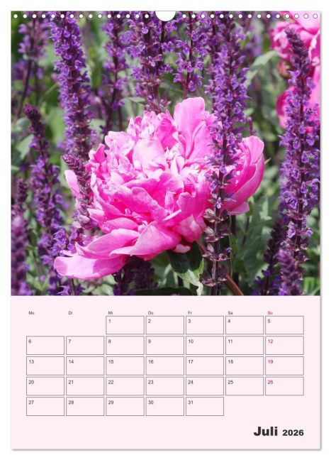 additionalImage12