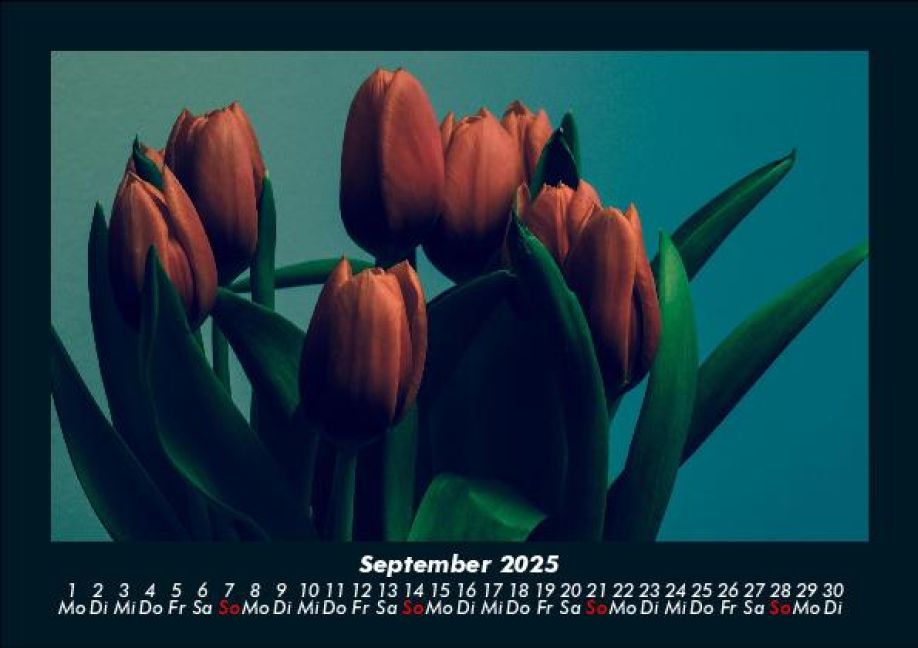additionalImage1