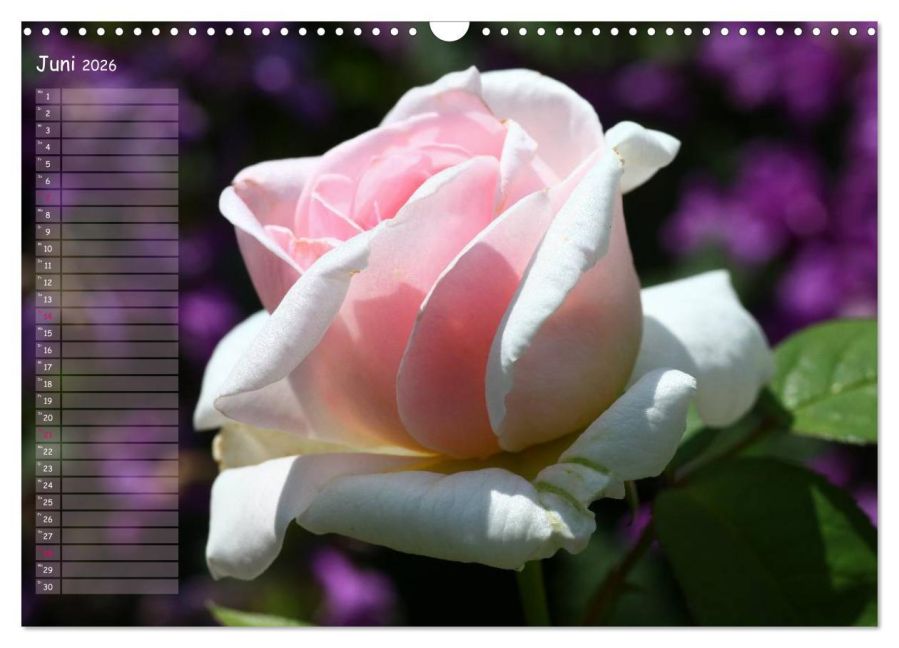 additionalImage11