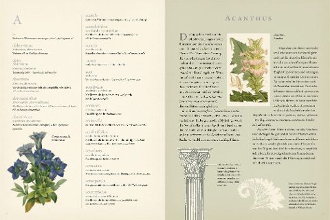 additionalImage1
