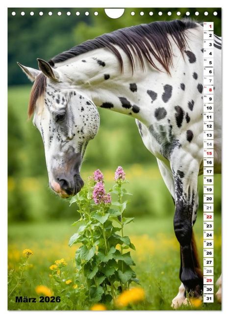 additionalImage8