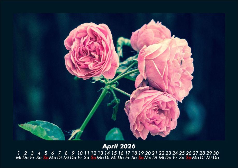additionalImage8