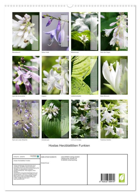 additionalImage4