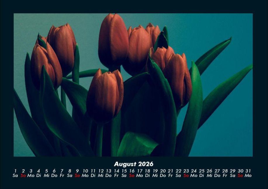 additionalImage12