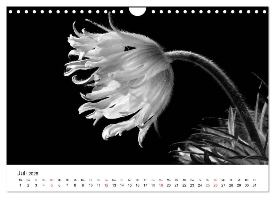 additionalImage12