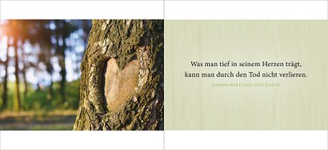 additionalImage4
