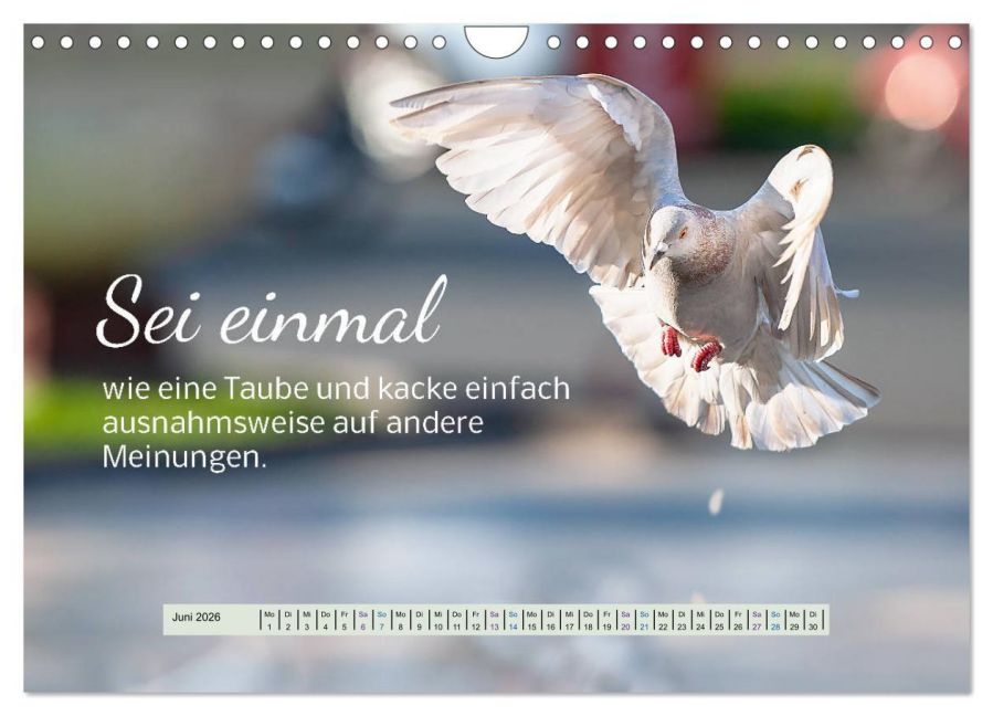 additionalImage11