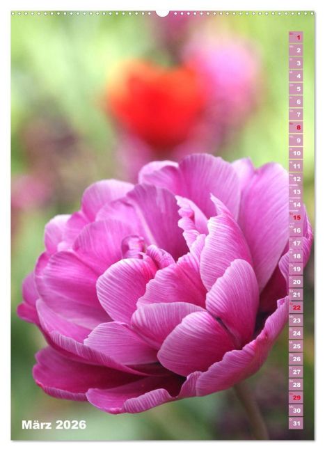 additionalImage7