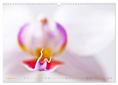 additionalImage13