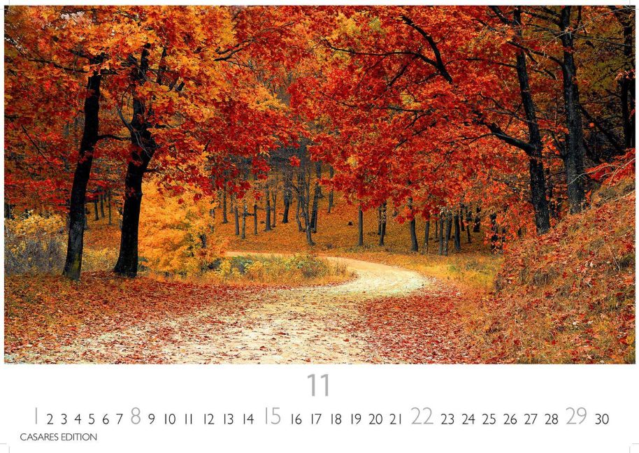 additionalImage11