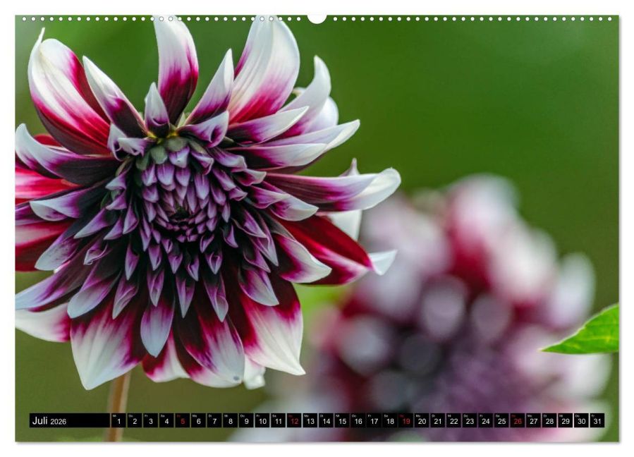 additionalImage12
