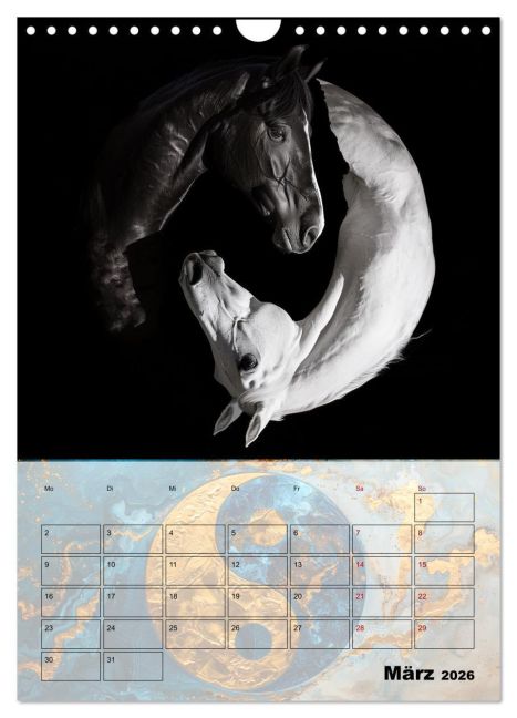 additionalImage8