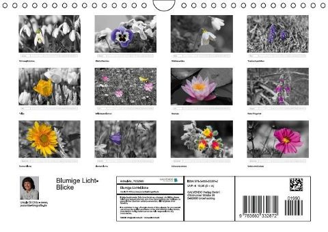 additionalImage13
