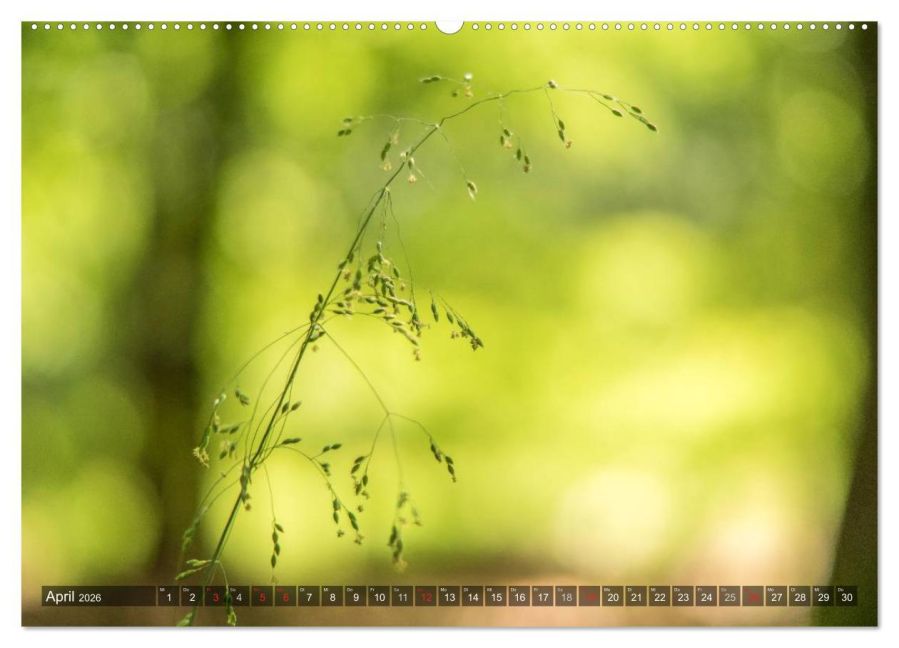 additionalImage8