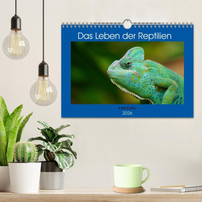 additionalImage1
