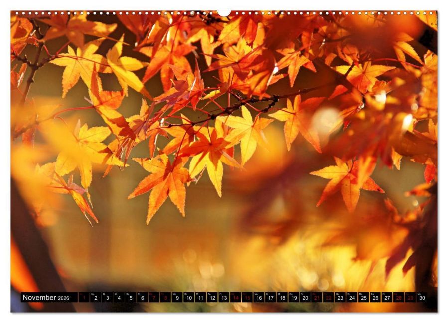 additionalImage3