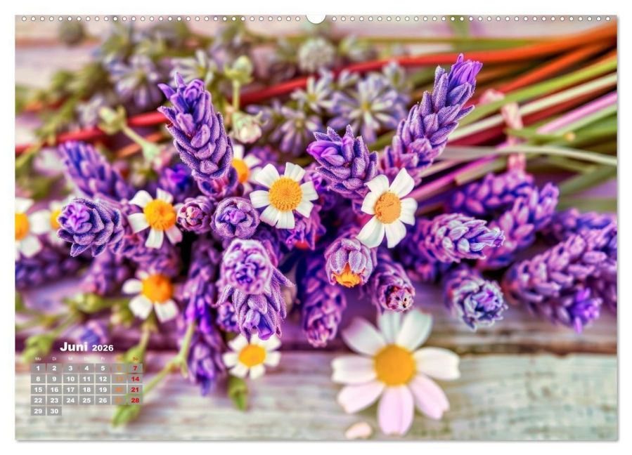 additionalImage11
