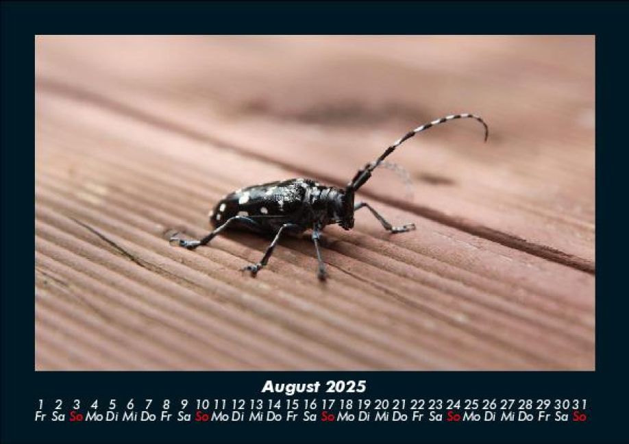 additionalImage12