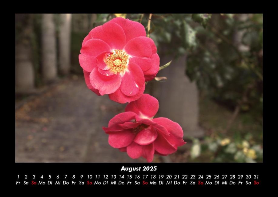 additionalImage12