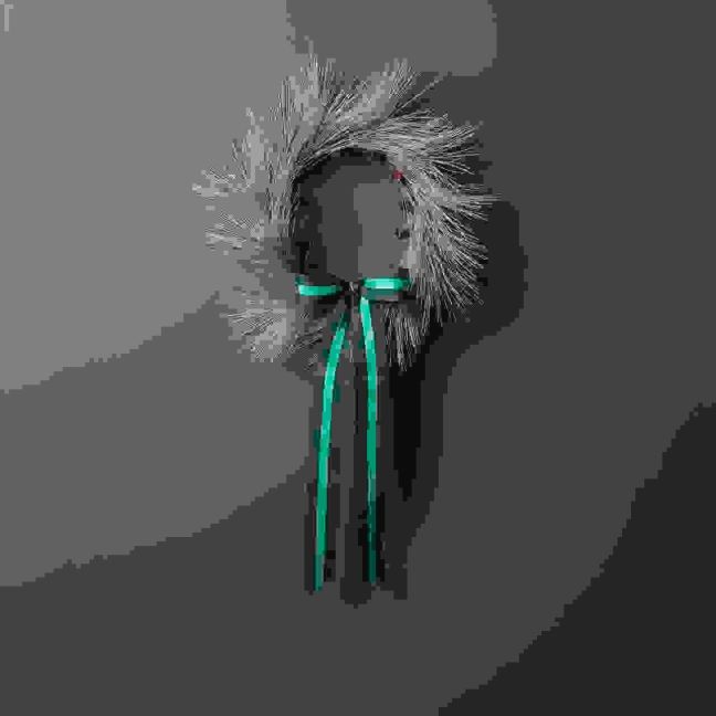 additionalImage2
