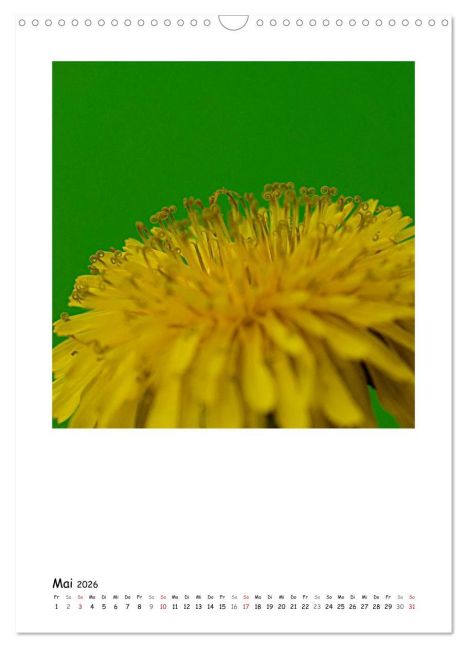additionalImage10