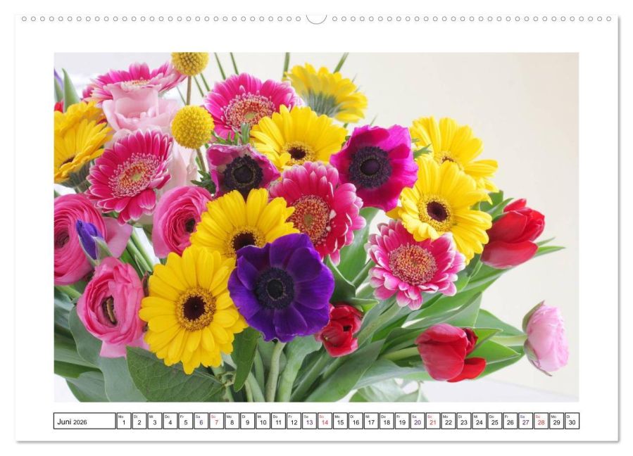 additionalImage11