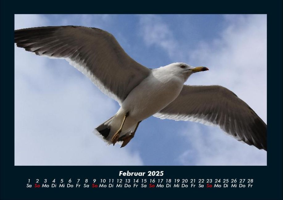 additionalImage6